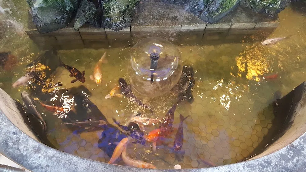 Koi Fish Water Feature